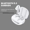 Auris Wireless Earbuds